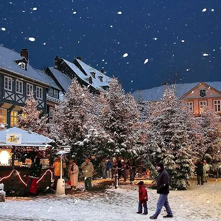 阿施特曼酒店 4*